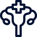 Ginecologista